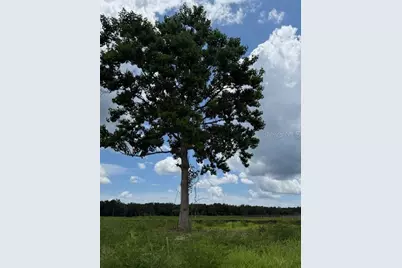 594 E County Road 90, Bunnell, FL 32110 - Photo 11