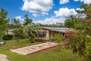 123 Peninsular Dr, Crescent City, FL 32112 - Photo 39