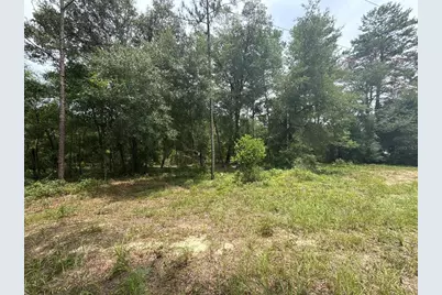 140 Cherokee Drive, Interlachen, FL 32148 - Photo 5