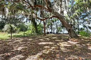 133 Federal Point Rd, East Palatka, FL 32131 - Photo 53
