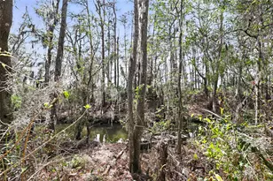 290 Federal Point Rd, East Palatka, FL 32131 - Photo 47