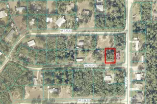NE 134 Pl, Salt Springs, FL 32134 - Photo 1