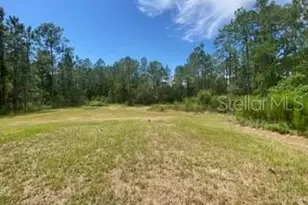 1836 Hickory St, Bunnell, FL 32110 - Photo 15