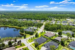 2426 Wild Turkey Creek Ln, Port Orange, FL 32128 - Photo 53