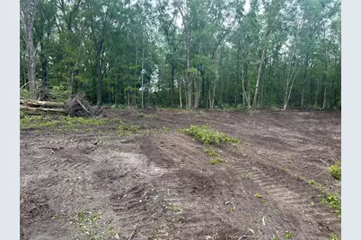 4795 Alvin Street, Hastings, FL 32145 - Photo 13