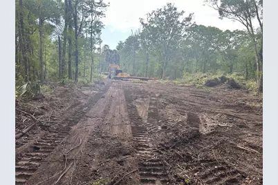 4795 Alvin Street, Hastings, FL 32145 - Photo 11