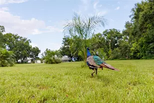 535 S Prospect St, Crescent City, FL 32112 - Photo 77