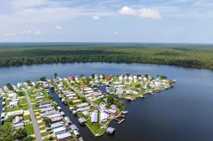 164 Moonlite Dr, Welaka, FL 32193 - Photo 57