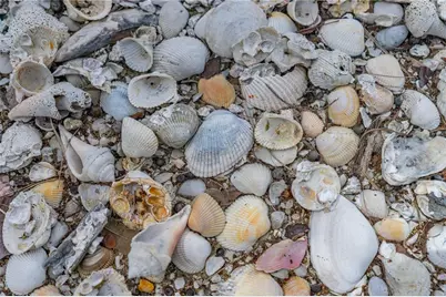 4026 Cardinal Boulevard, Port Orange, FL 32127 - Photo 9