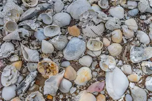 4026 Cardinal Blvd, Port Orange, FL 32127 - Photo 9