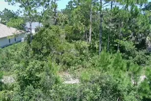 3 Serenity Pl, Palm Coast, FL 32164 - Photo 1