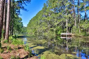 64 Whittington Dr, Palm Coast, FL 32164 - Photo 1