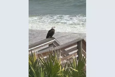 85 Calle Del Sur, Palm Coast, FL 32137 - Photo 99