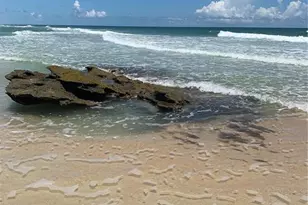 11 Beachside Dr, Palm Coast, FL 32137 - Photo 51