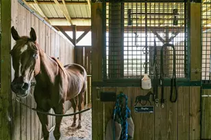 5210 Co Rd 305, Bunnell, FL 32110 - Photo 19