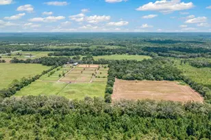 5210 Co Rd 305, Bunnell, FL 32110 - Photo 75