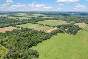 5210 Co Rd 305, Bunnell, FL 32110 - Photo 79