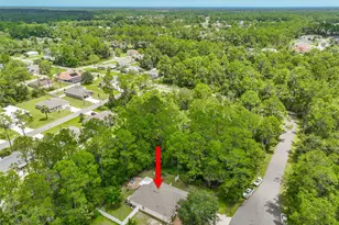 57 Sleepy Hollow Trail, Palm Coast, FL 32164 - Photo 39