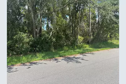 22 Zinnia Trail, Palm Coast, FL 32164 - Photo 3