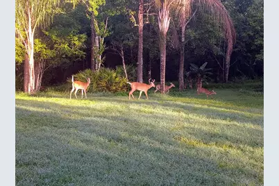 802 Hamilton Drive, Orlando, FL 32833 - Photo 5