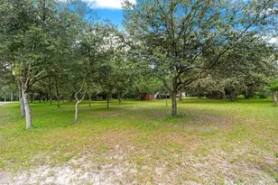 802 Hamilton Dr, Orlando, FL 32833 - Photo 55