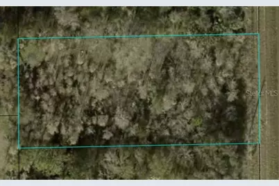 1366 County Road 305, Bunnell, FL 32110 - Photo 1