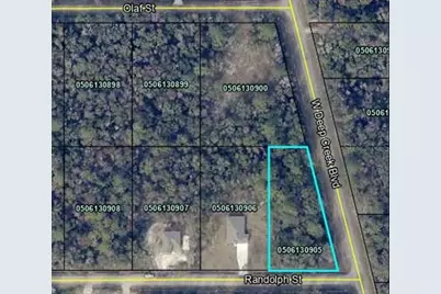 4800 Randolph Street, Hastings, FL 32145 - Photo 1