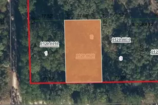 213 Highline Trail, Satsuma, FL 32189 - Photo 1