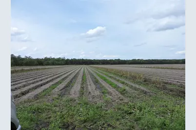 County Road 108 Road, Bunnell, FL 32110 - Photo 1