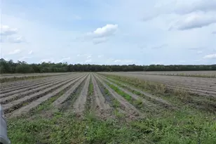 County Road 108 Rd, Bunnell, FL 32110 - Photo 1