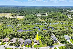 412 Palm Dr, Flagler Beach, FL 32136 - Photo 53