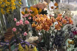 1150 Douglas Ave, Altamonte Springs, FL 32714 - Photo 3