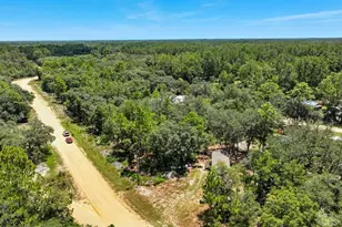 1141 Donovan Ave, Interlachen, FL 32148 - Photo 3