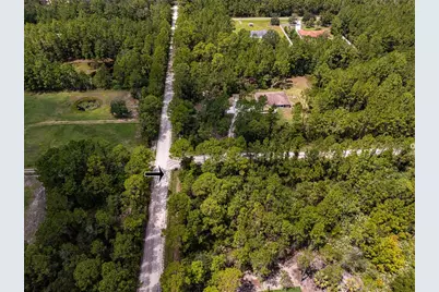 6148 Tangerine Avenue, Bunnell, FL 32110 - Photo 7