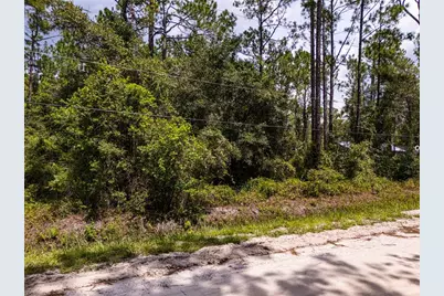 6148 Tangerine Avenue, Bunnell, FL 32110 - Photo 9