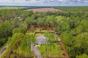 5487 Palm Ave, Bunnell, FL 32110 - Photo 5