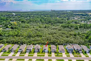 2815 Westwood Ave, New Smyrna Beach, FL 32168 - Photo 31