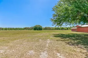 641 E State Road 100, San Mateo, FL 32187 - Photo 9