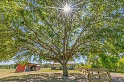 641 E State Road 100, San Mateo, FL 32187 - Photo 73