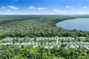 1635 Bass Ave, Seville, FL 32190 - Photo 37