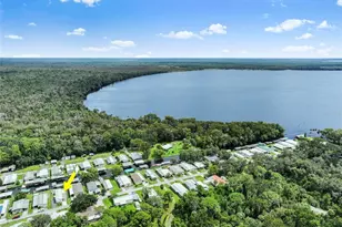 1635 Bass Ave, Seville, FL 32190 - Photo 27