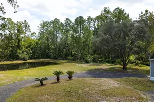 2705 Sandlewood Ln, Bunnell, FL 32110 - Photo 7