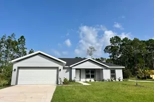 29 Red Top Ln, Palm Coast, FL 32164 - Photo 1