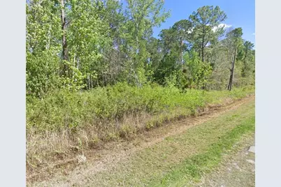 210 Redwood Boulevard, Georgetown, FL 32139 - Photo 3