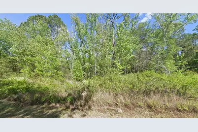 210 Redwood Boulevard, Georgetown, FL 32139 - Photo 1