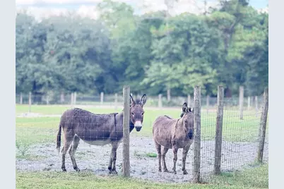 4334 Lori Loop Road, Keystone Heights, FL 32656 - Photo 3