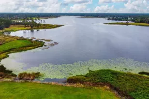 2309 McBride Rd, Seville, FL 32190 - Photo 5