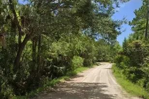 451 Co Rd 330, Bunnell, FL 32110 - Photo 1