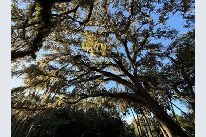 15 Debra Drive, Palm Coast, FL 32137 - Photo 47