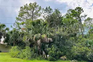 3 Seattle Trail, Palm Coast, FL 32164 - Photo 1